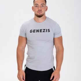 Tricou "The Origin", grey